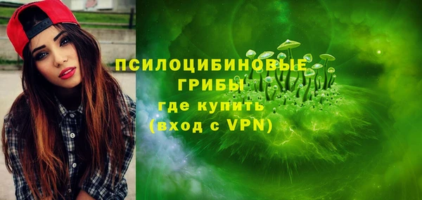 соль ск Балахна